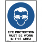 Brady Mandatory Sign Eye Protection 450X600MM Metal